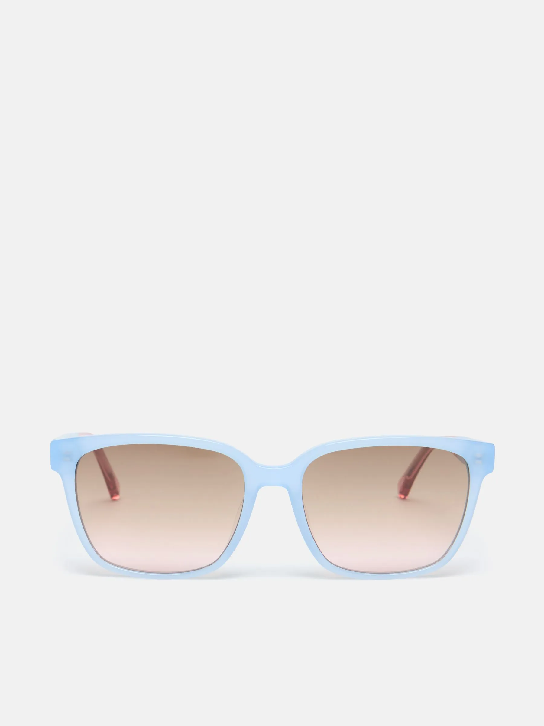 Blue Wayfarer Sunglasses