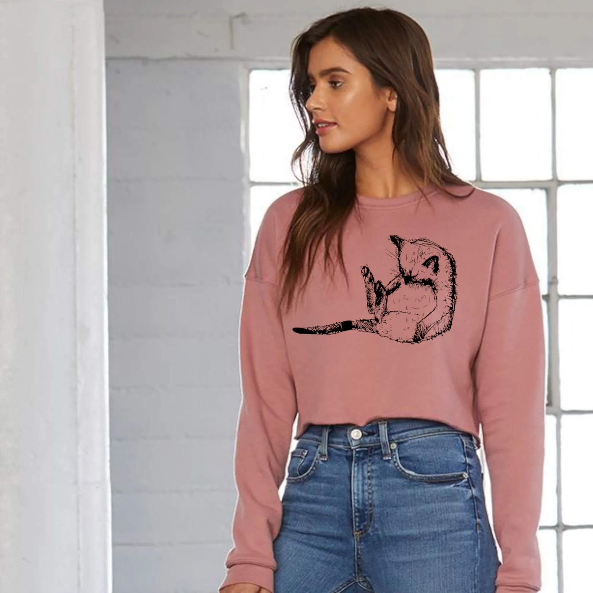 Cropped sleepy cat jumper, mauve