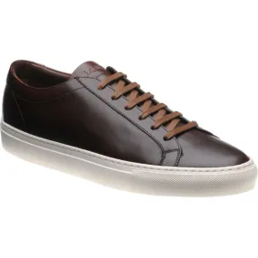 LOAKE  Sprint - Leather Sneakers -  Dark Brown