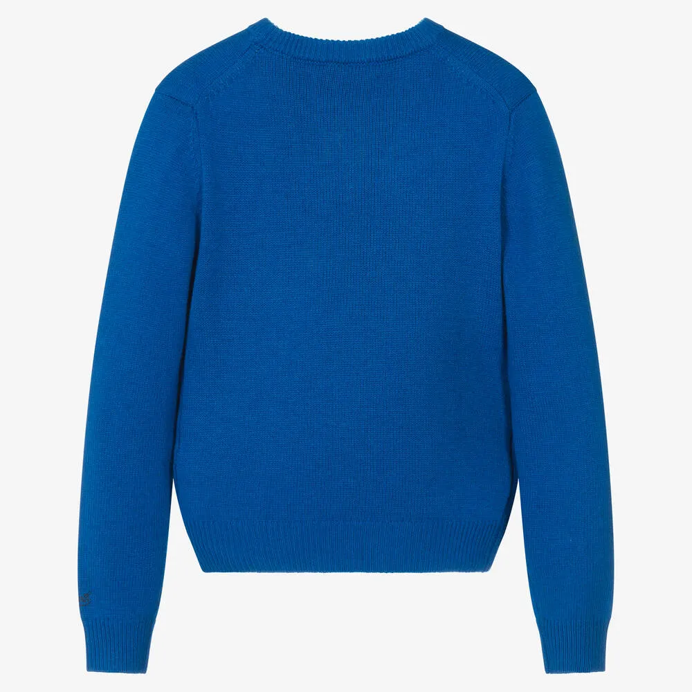 Teen Boys Blue Peanuts Wool Jumper